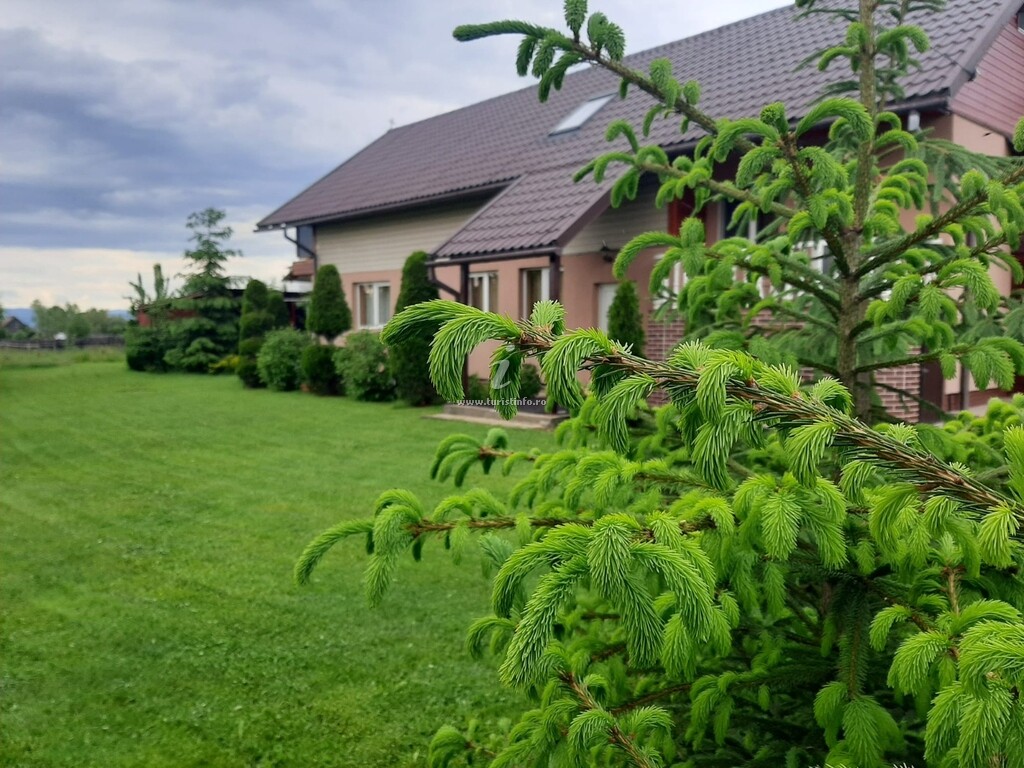 Casa Neagu