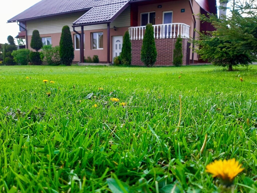 Casa Neagu