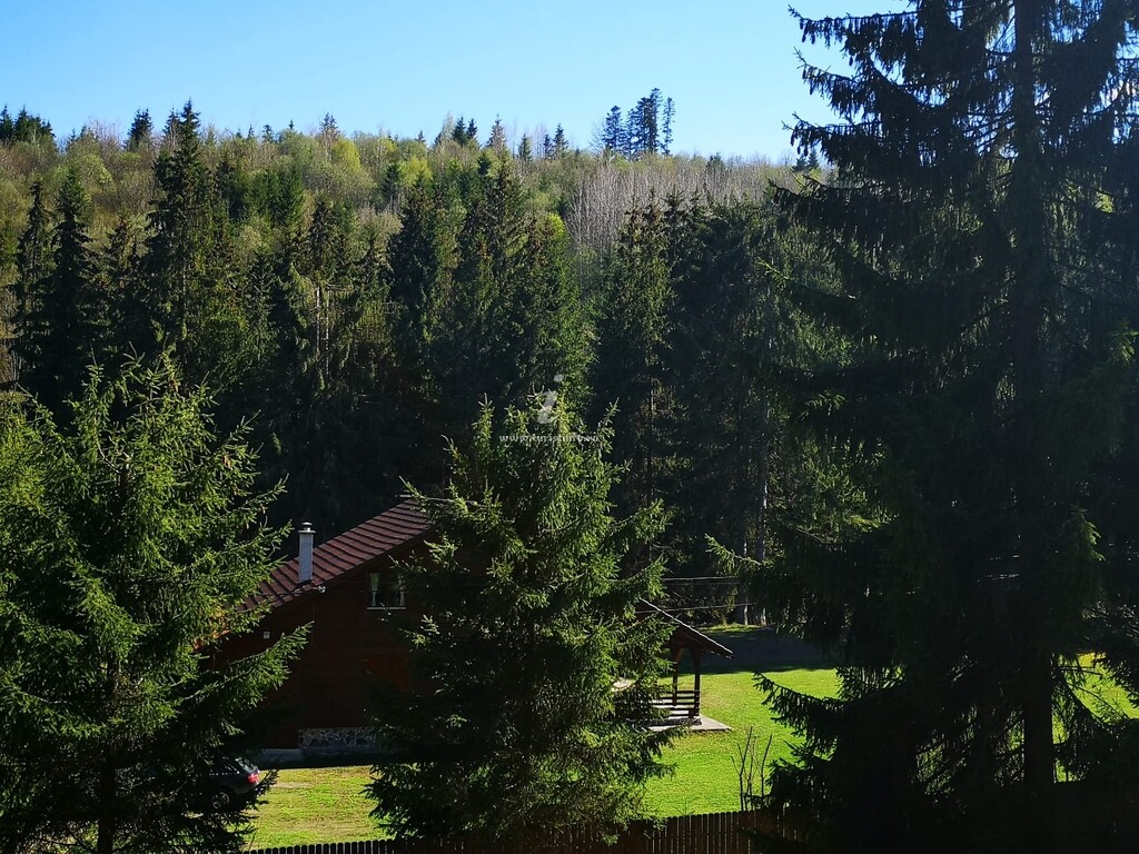 Casa de vacanță dintre Brazi
