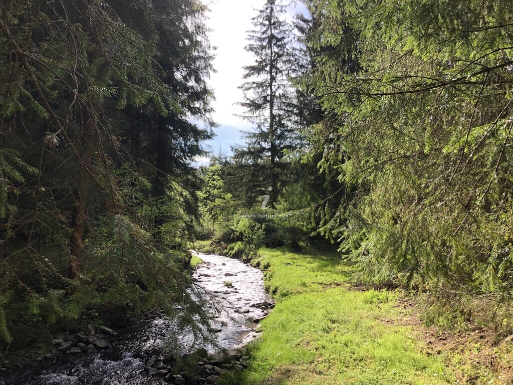 Casa de vacanță dintre Brazi