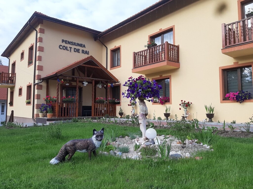 Pensiunea Colț de Rai