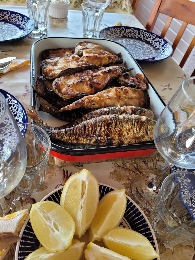 Casa Malul Dunării