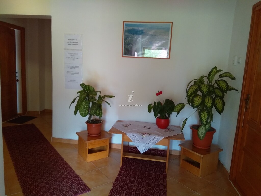 Casa Mierlei
