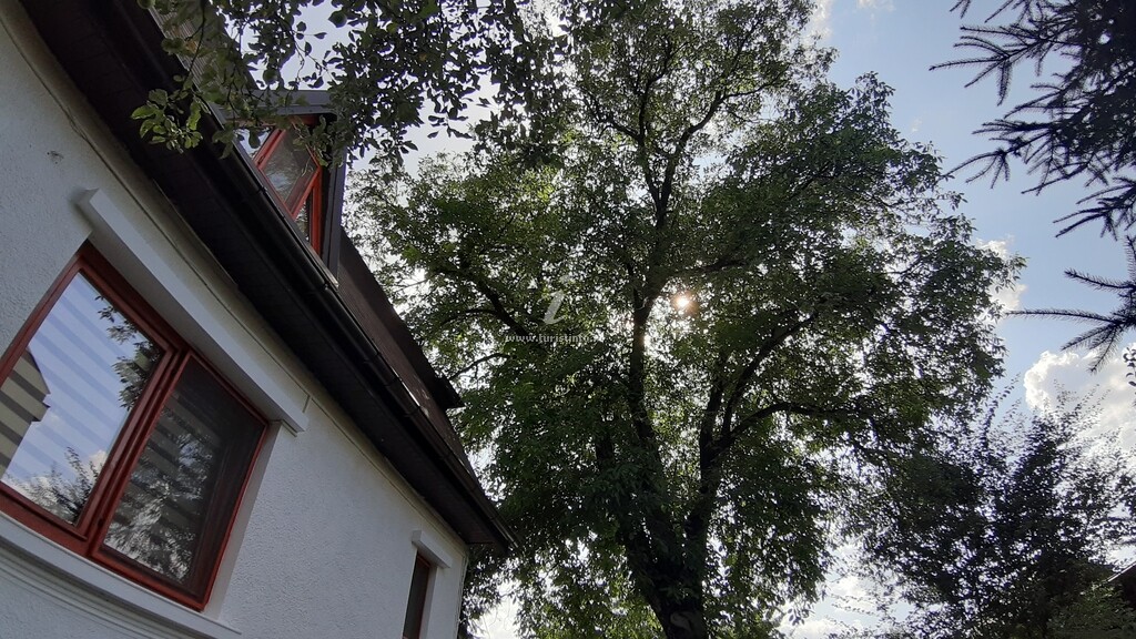 Casa Camelia