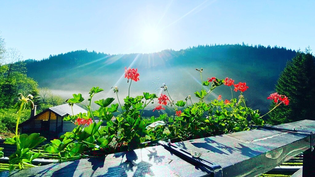 Casa dintre Brazi