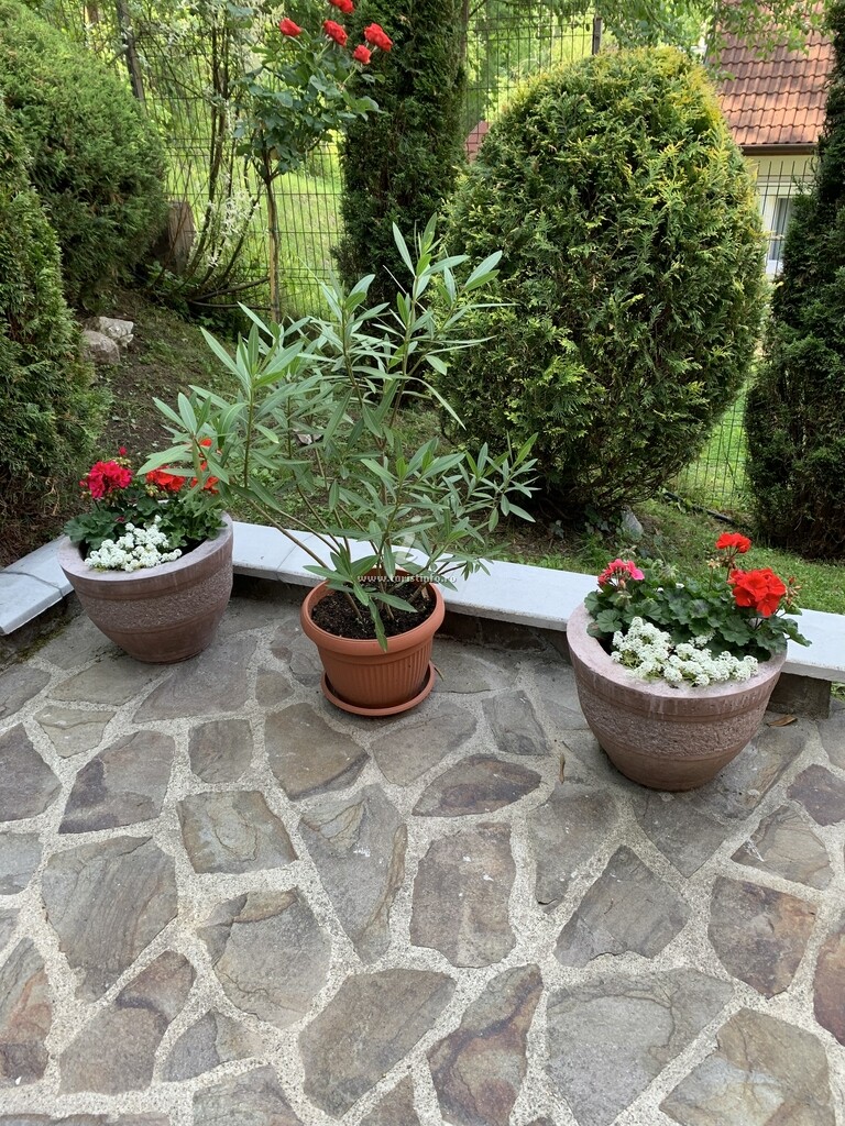 Pensiunea Eva