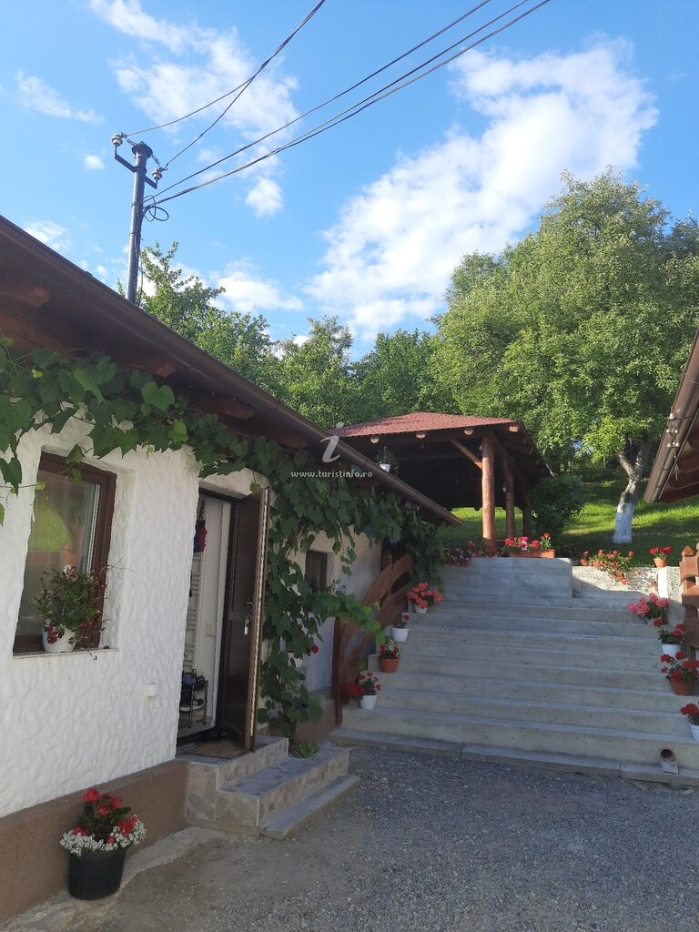 Casa Darius