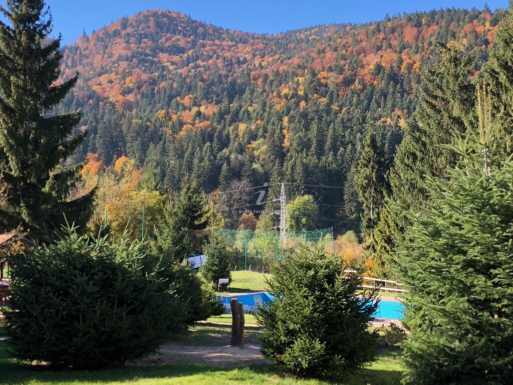 Stânca Șoimilor
