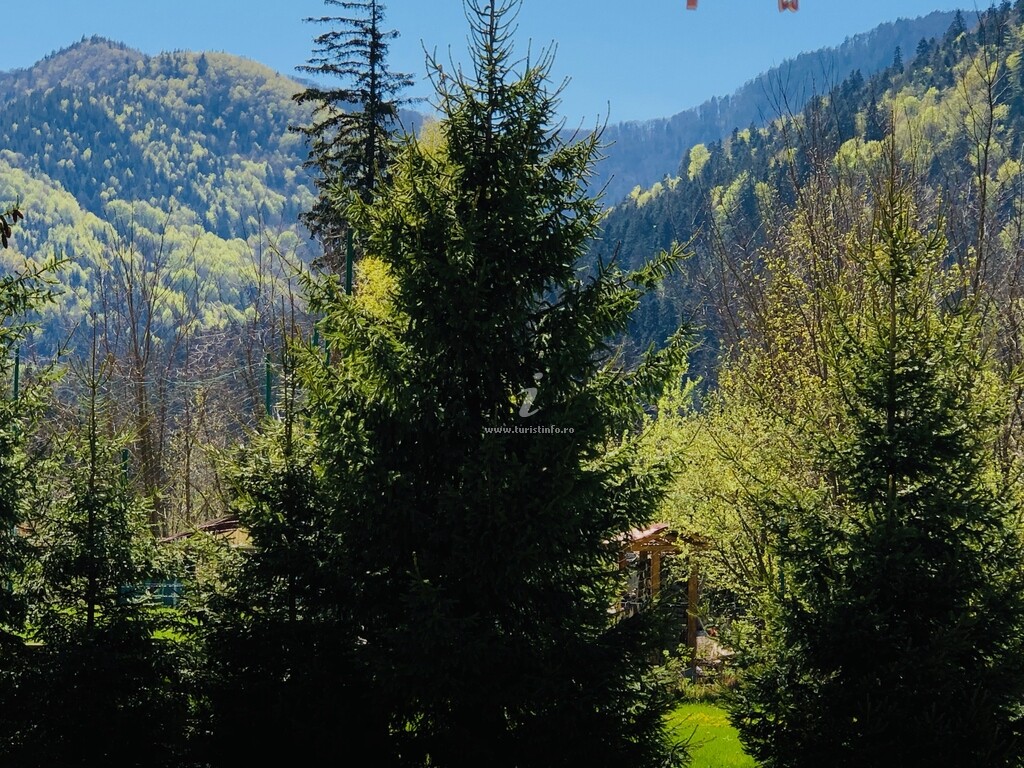 Stânca Șoimilor