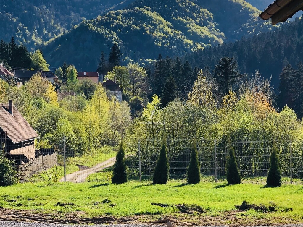 Stânca Șoimilor