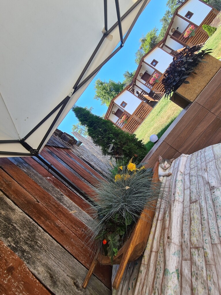 Camere de închiriat Flory Haus
