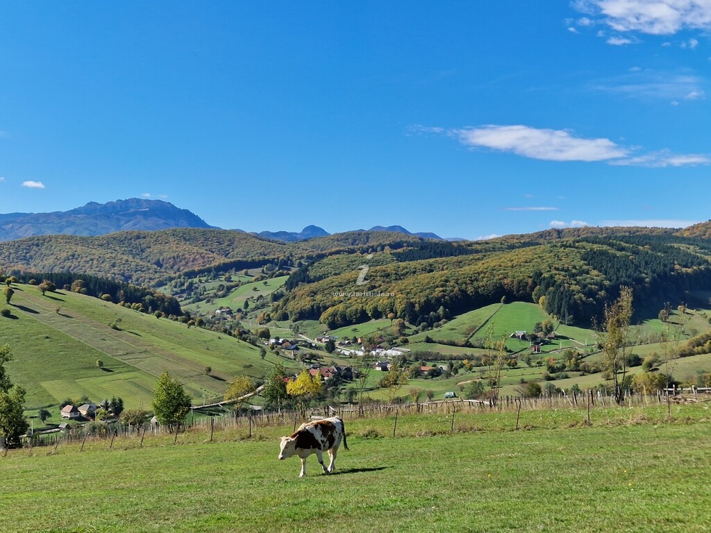 Complex Turistic Dealu'frumos