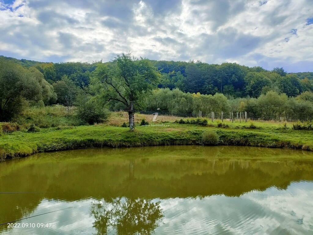 Pensiunea Cerbul