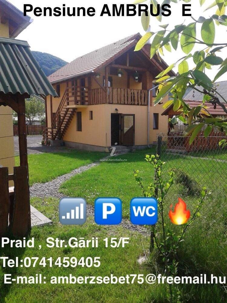 Pensiunea Ambruș E
