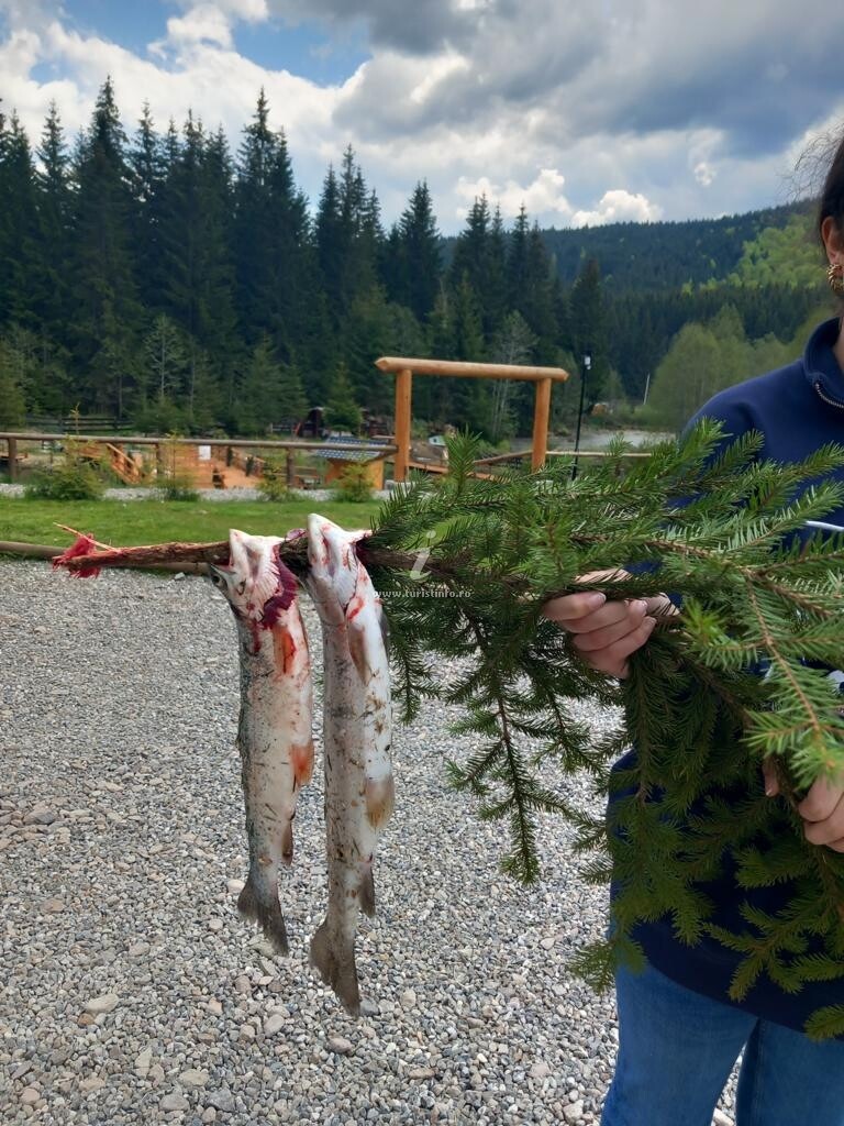 Căsuțe tip camping Clubul Dacilor