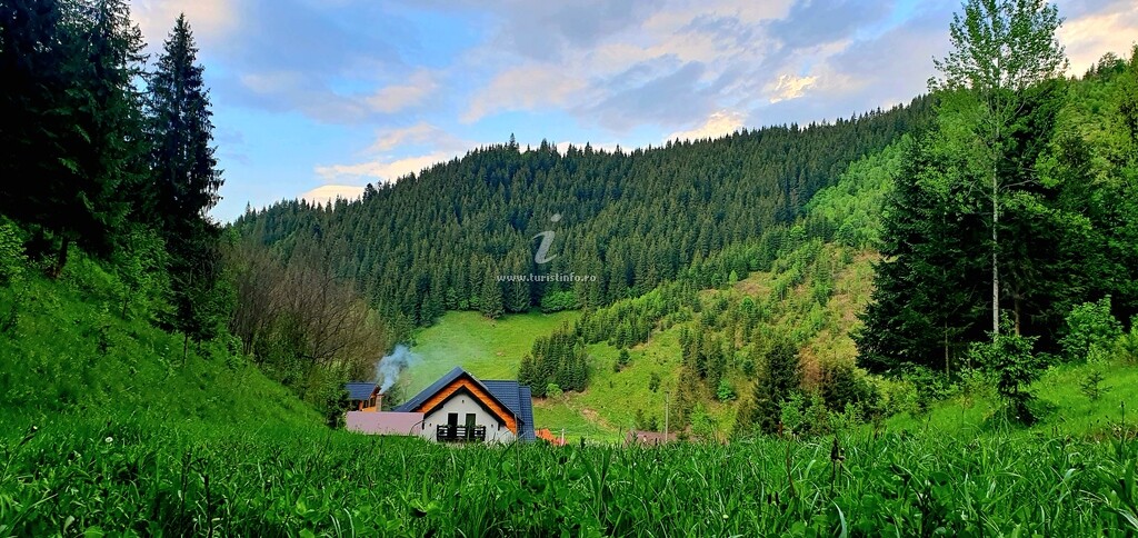 Casa dintre Brazi