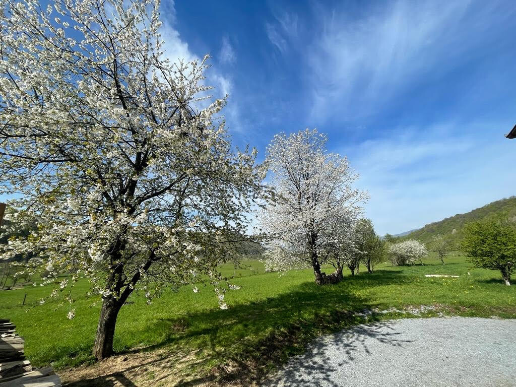 Casa de vacanță Relikvia