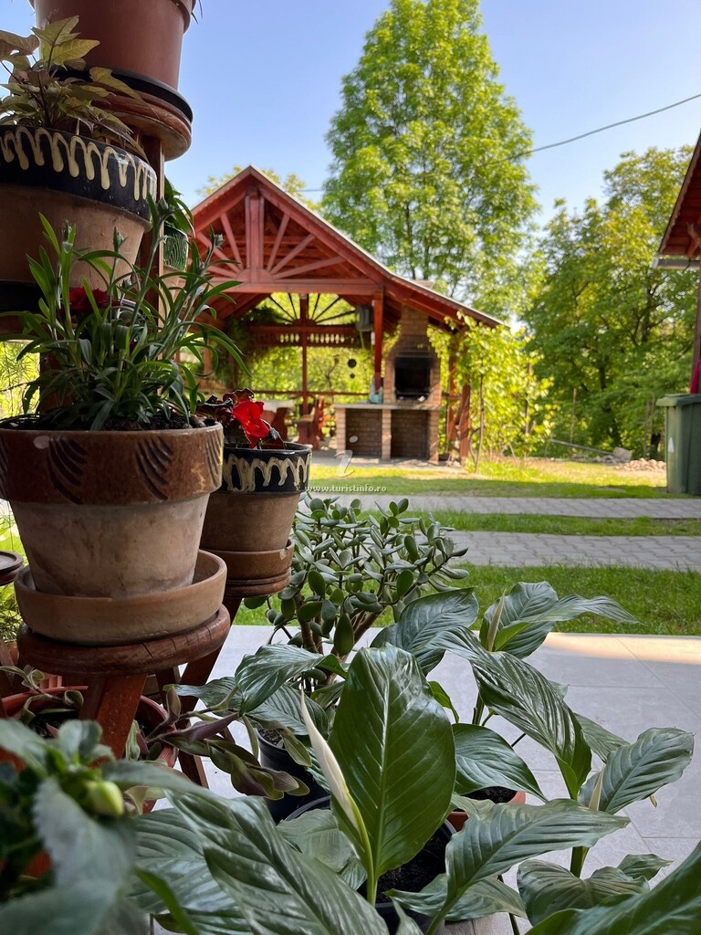 Casa 1 Mai