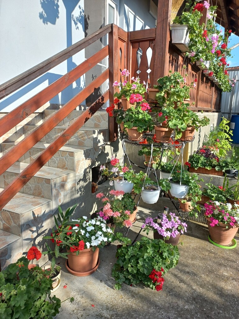 Casa Bettina