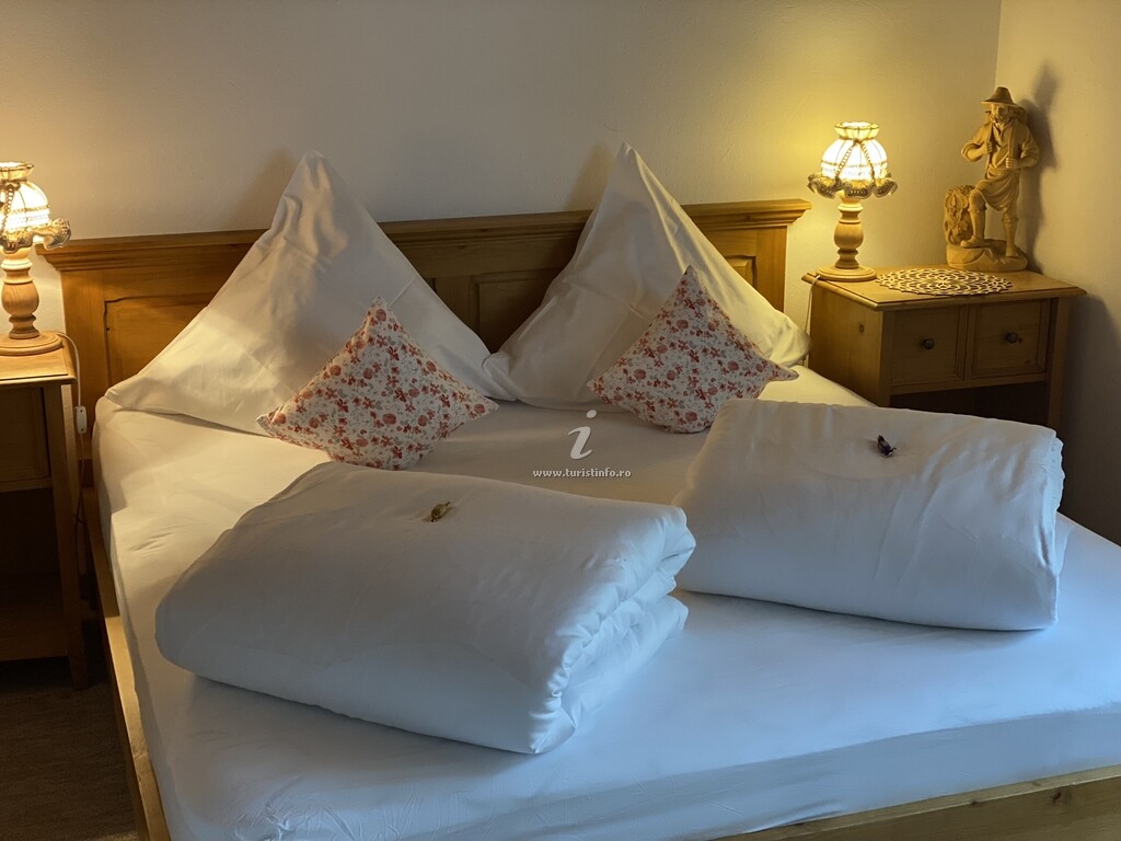 Camere de închiriat Casa Dan