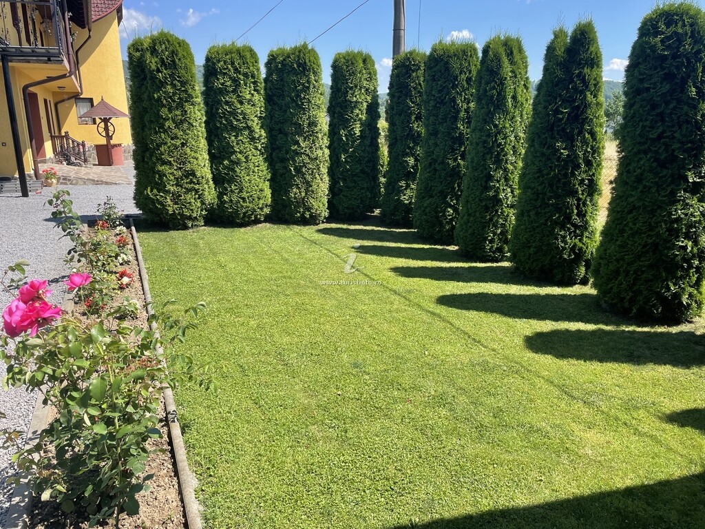 Casa Bambi
