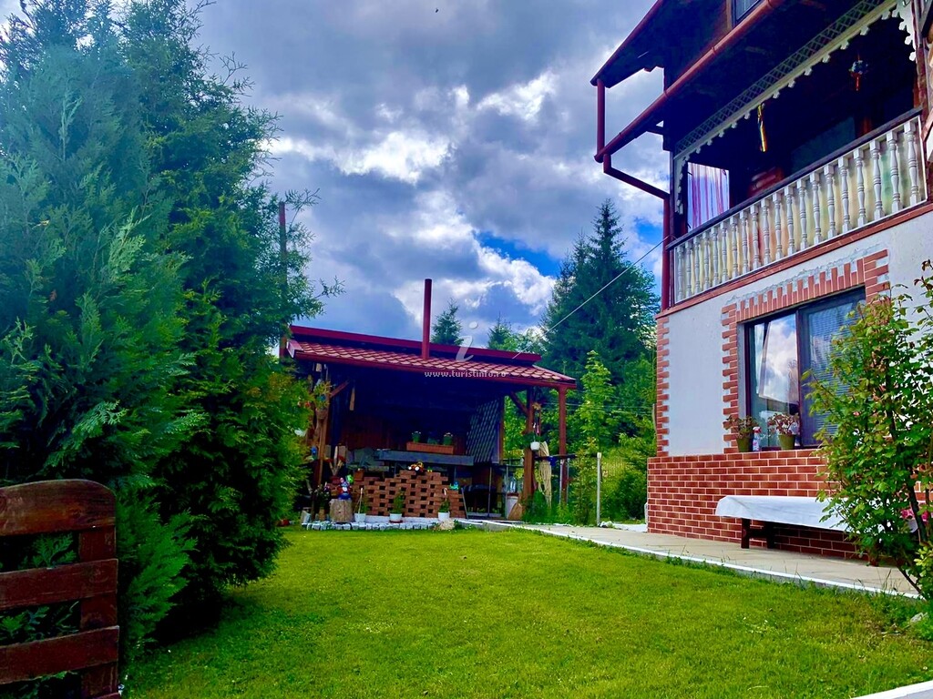 Vila Noroc