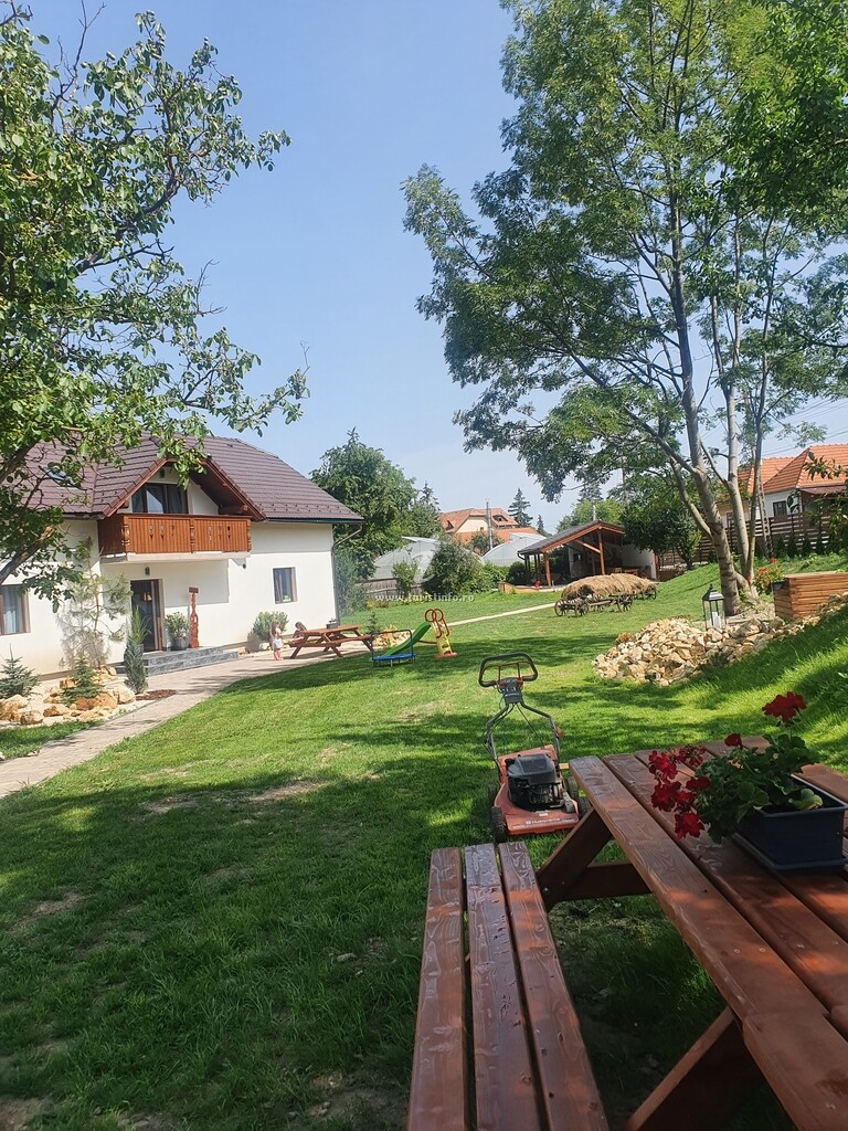 Camere de închiriat Transilvania