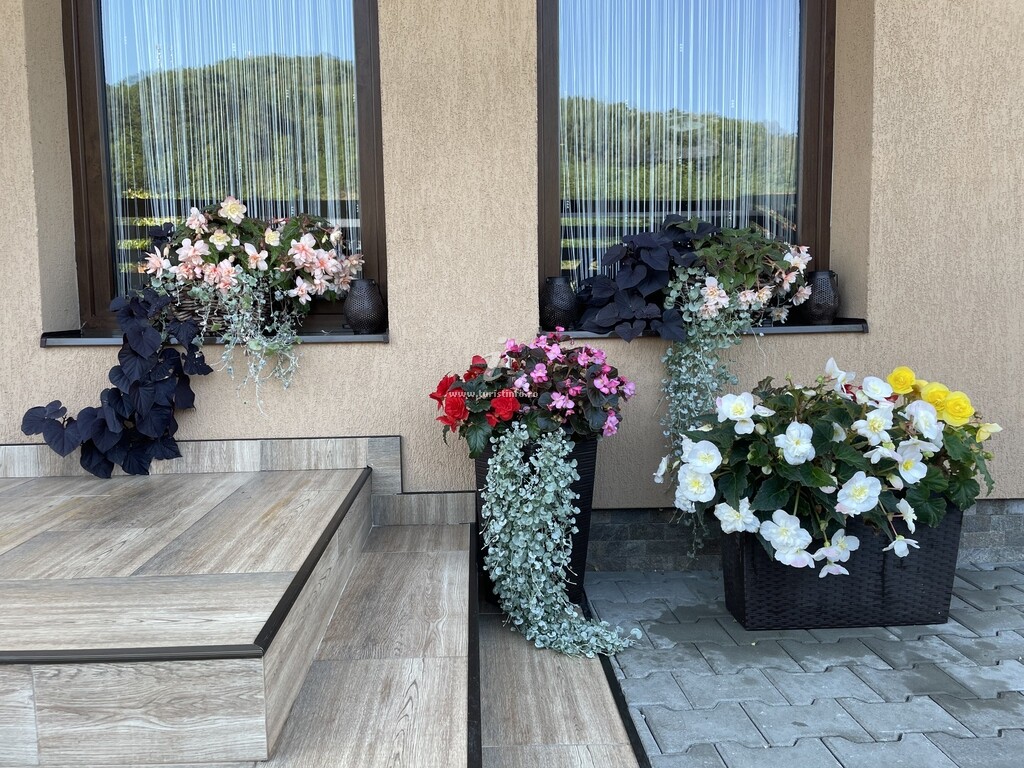 Camere de închiriat Casa Barbara