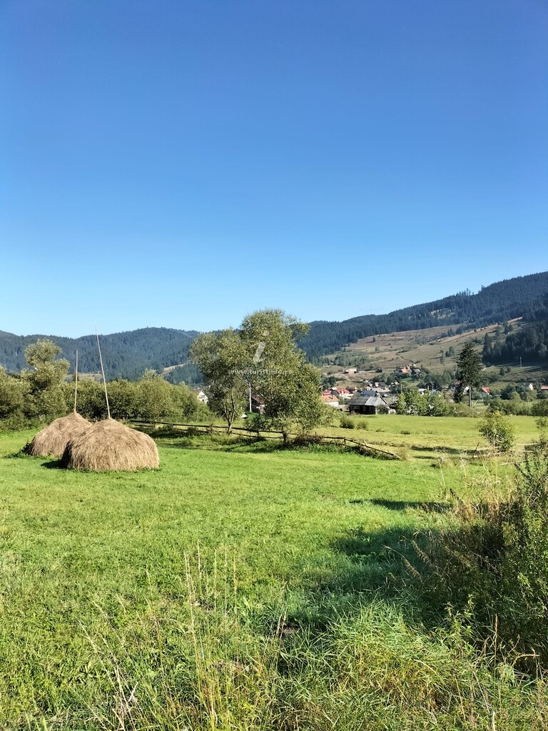 Căsuța Albă