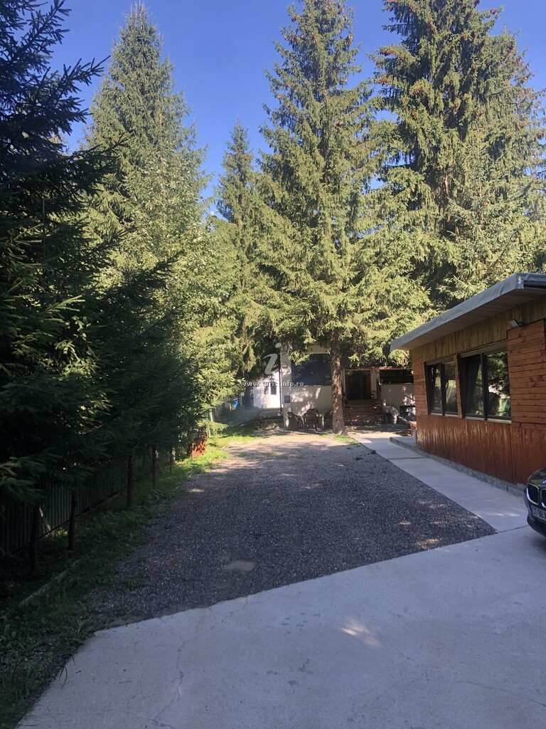Cabana Bârlogul Ursului din Comandau Covasna