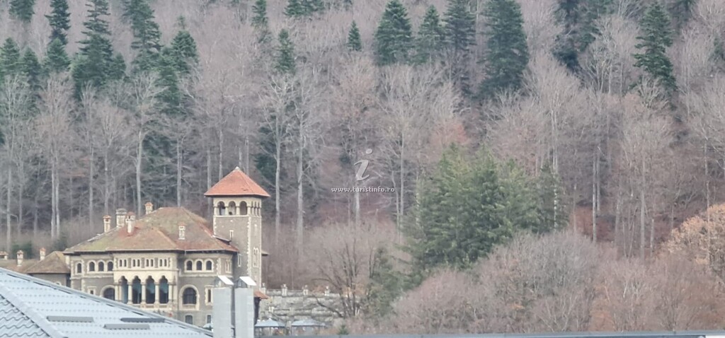 Pensiunea Bogdan (TEST SITE)