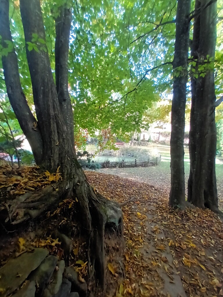 Casa de vacanță Trei Zâne