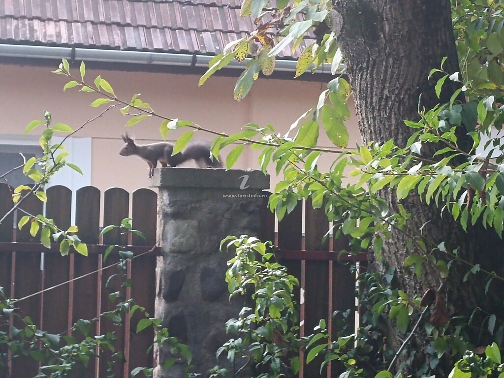 Casa Pasager House