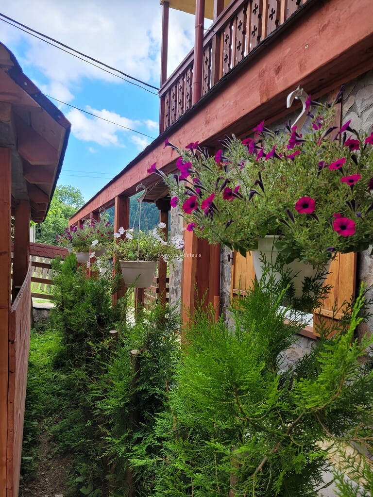 Casa Natura Tușnad