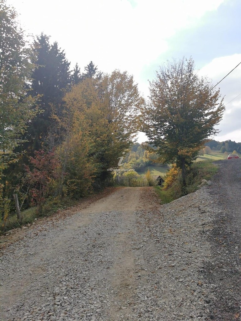 Complex Turistic Cabana Valea Popii