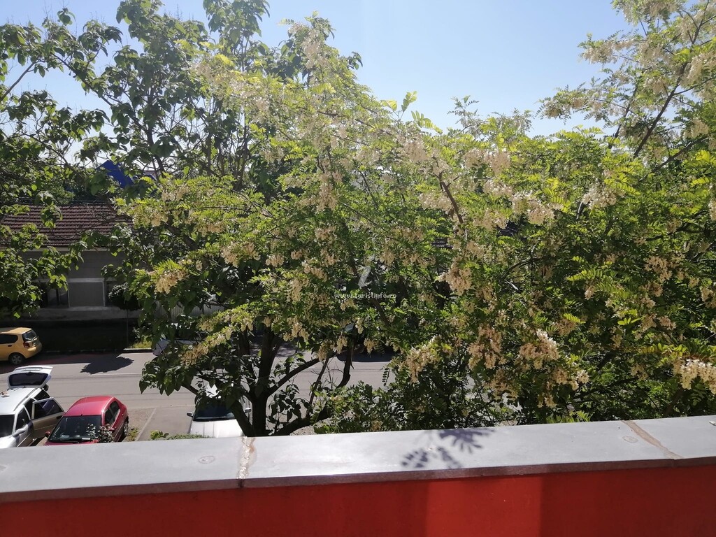 Apartament Miloia