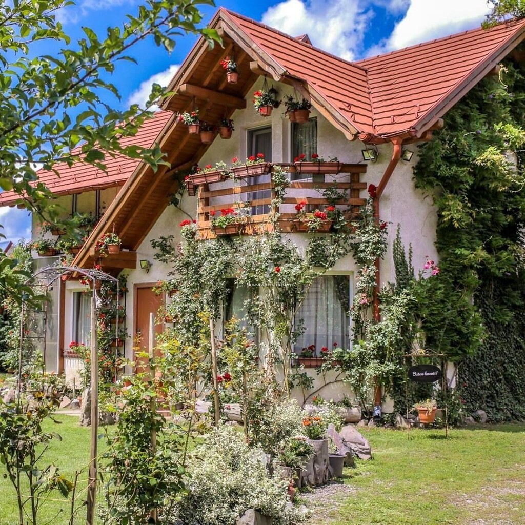 Camere de închiriat Casa Csiki