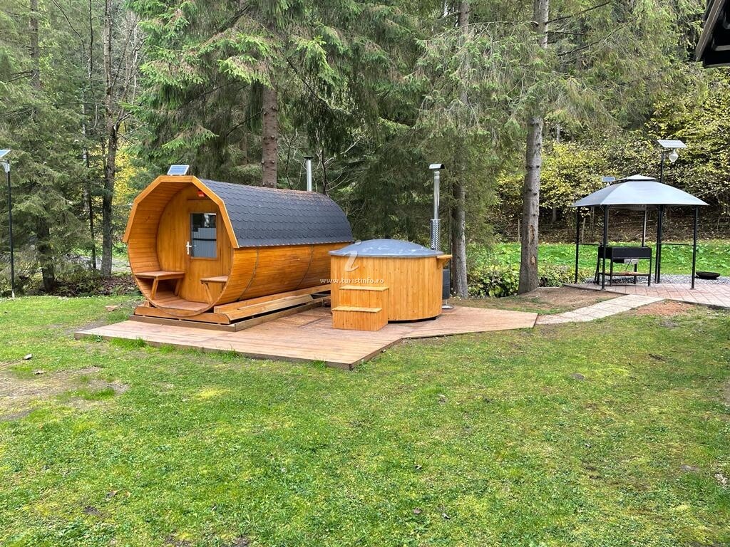 Cabana Medeea