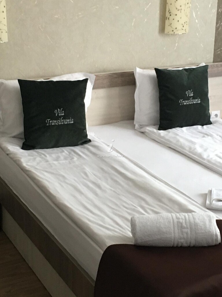 Vila Transilvania