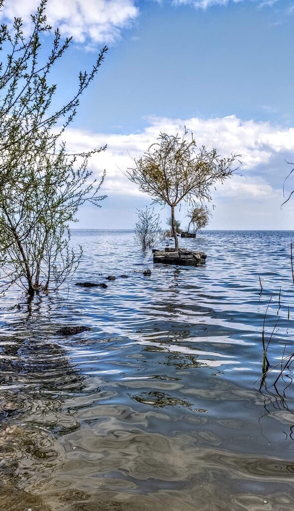 Casa de vacanță Răsăritul Soarelui
