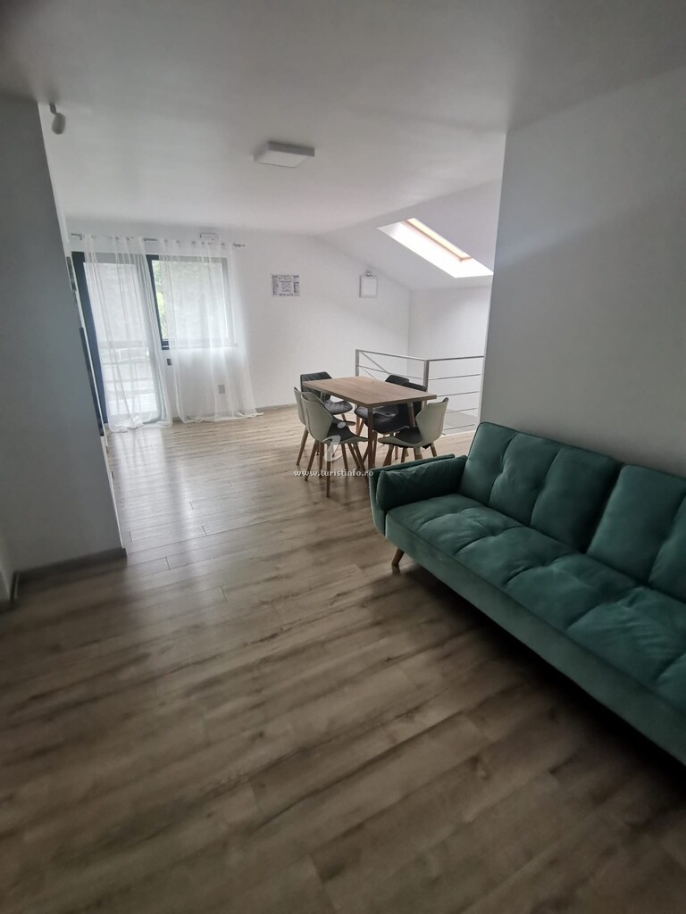 Cabana Medeea