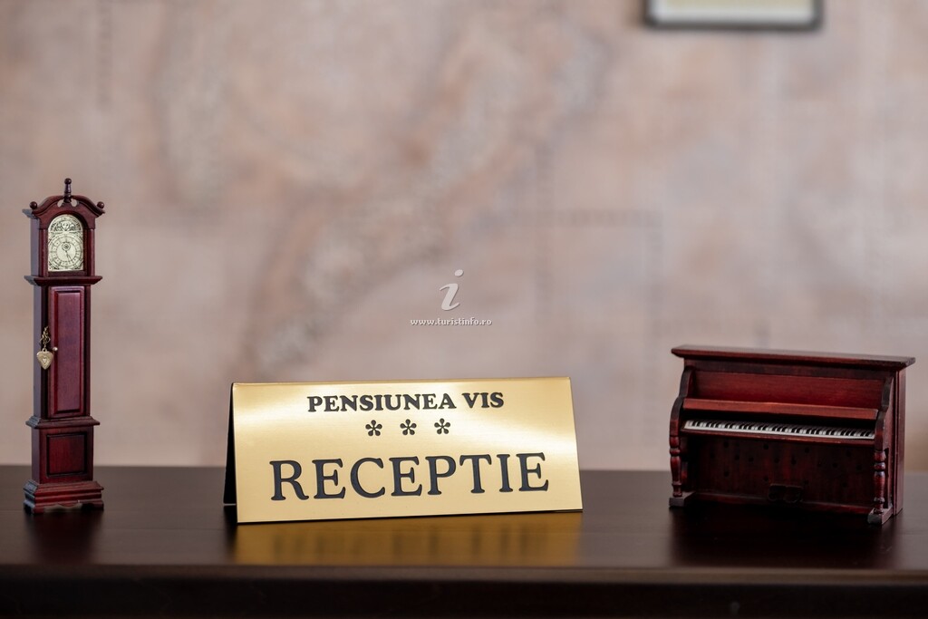 Pensiunea Vis