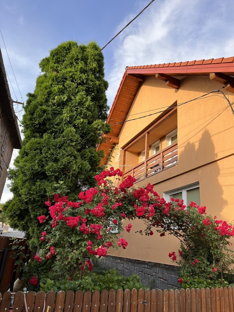 Casa Timea