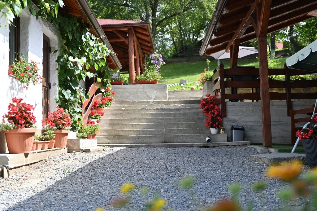 Casa Darius