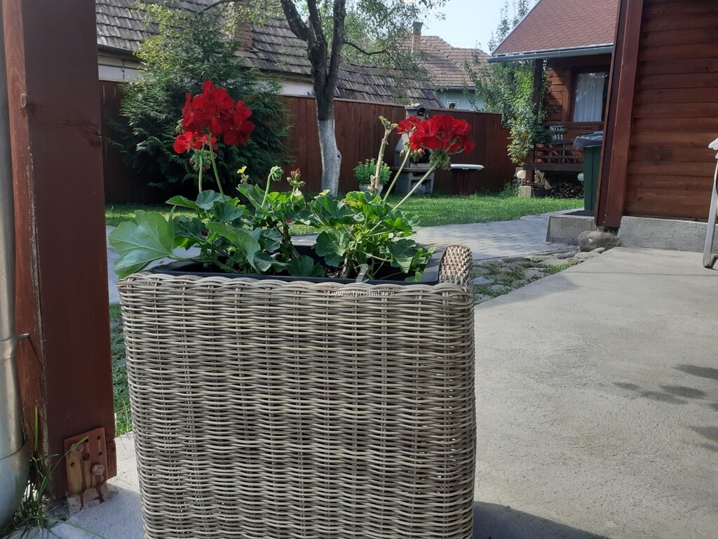 Vila Marta