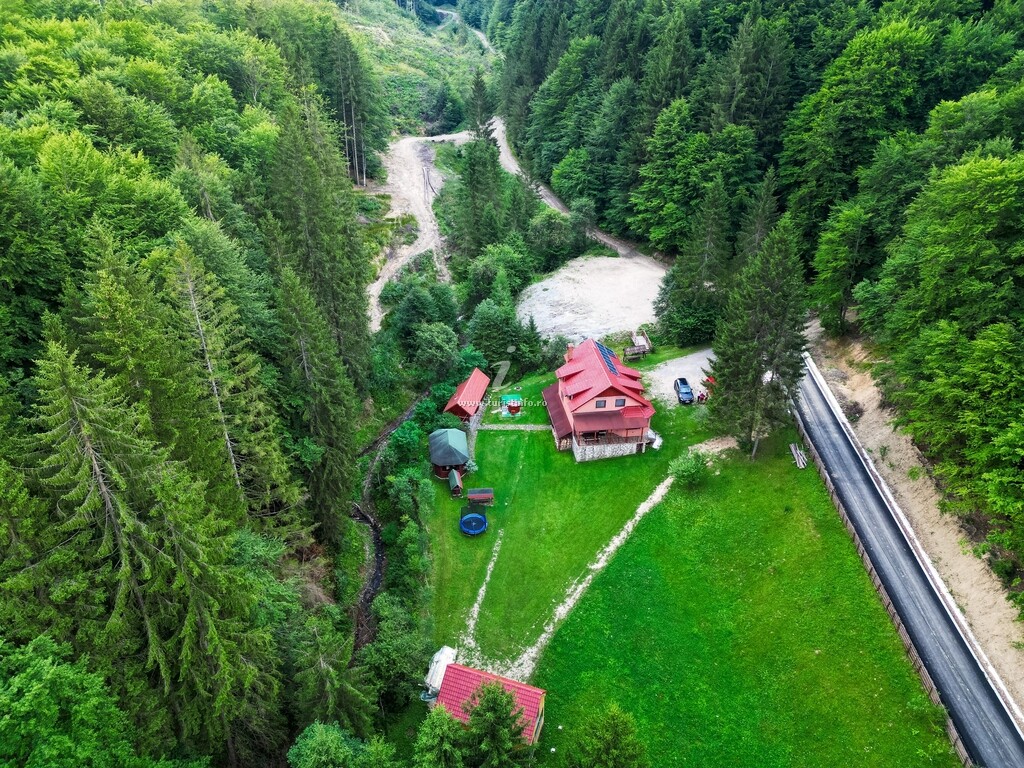 Cabana Cremenea