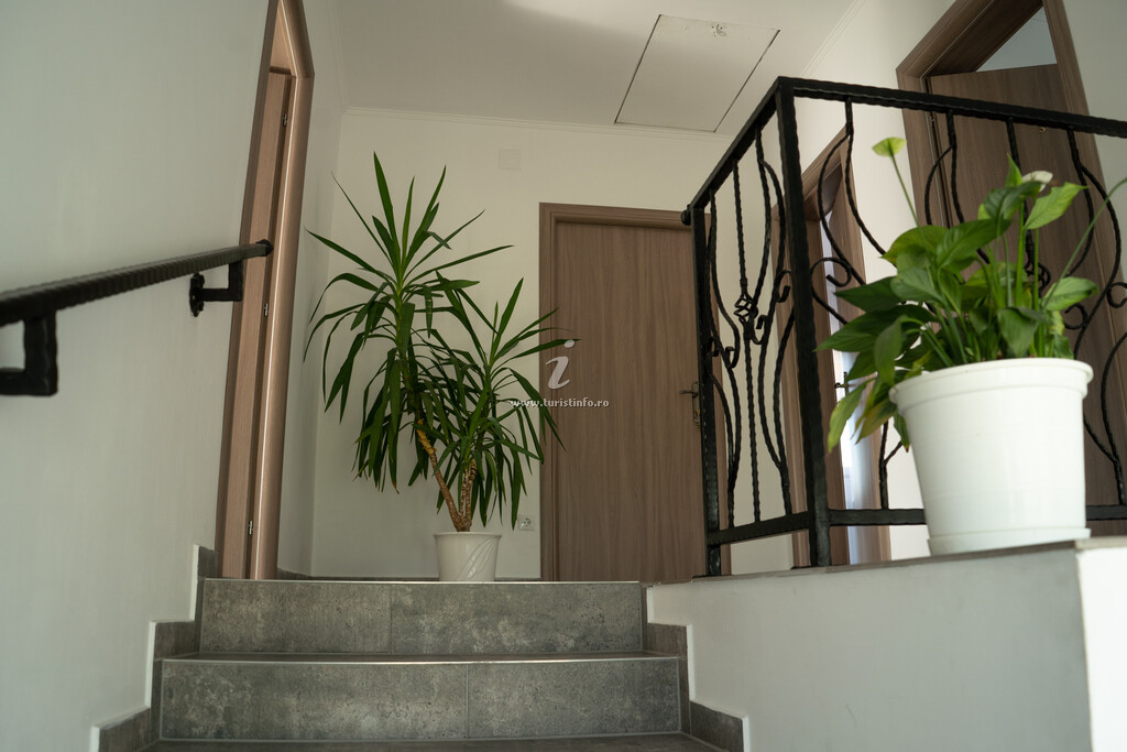 Casa Bokor