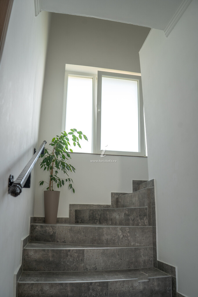 Casa Bokor