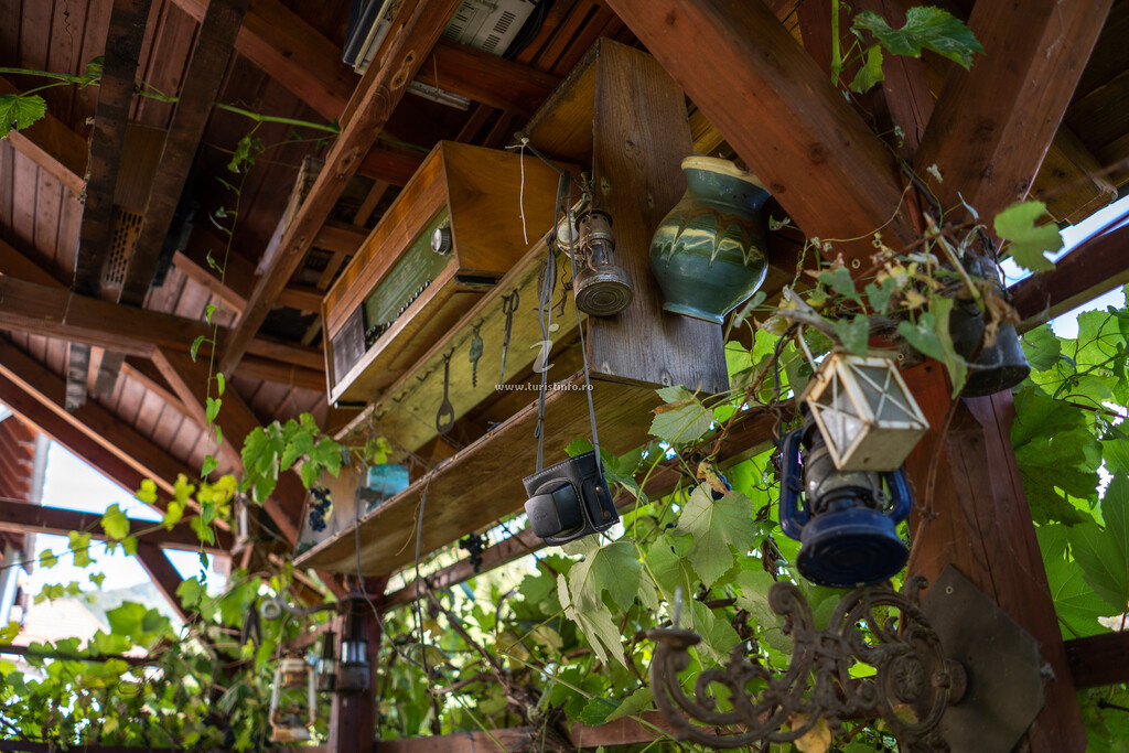 Casa Bokor
