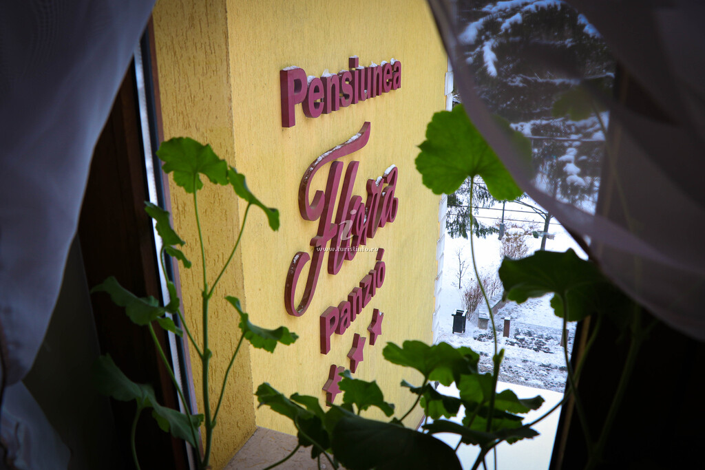 Pensiunea Flora